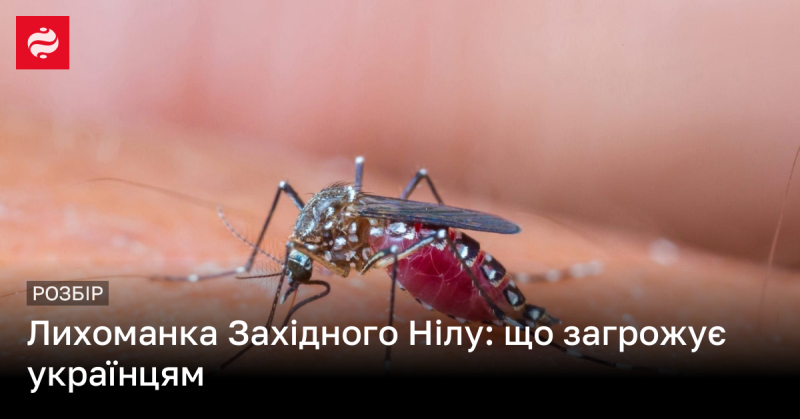 Лихоманка Західного Нілу: які небезпеки чекають на українців